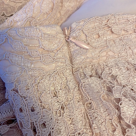 Atlantic Pacific X Halogen Pink Lace Midi Skirt - Picture 4 of 6